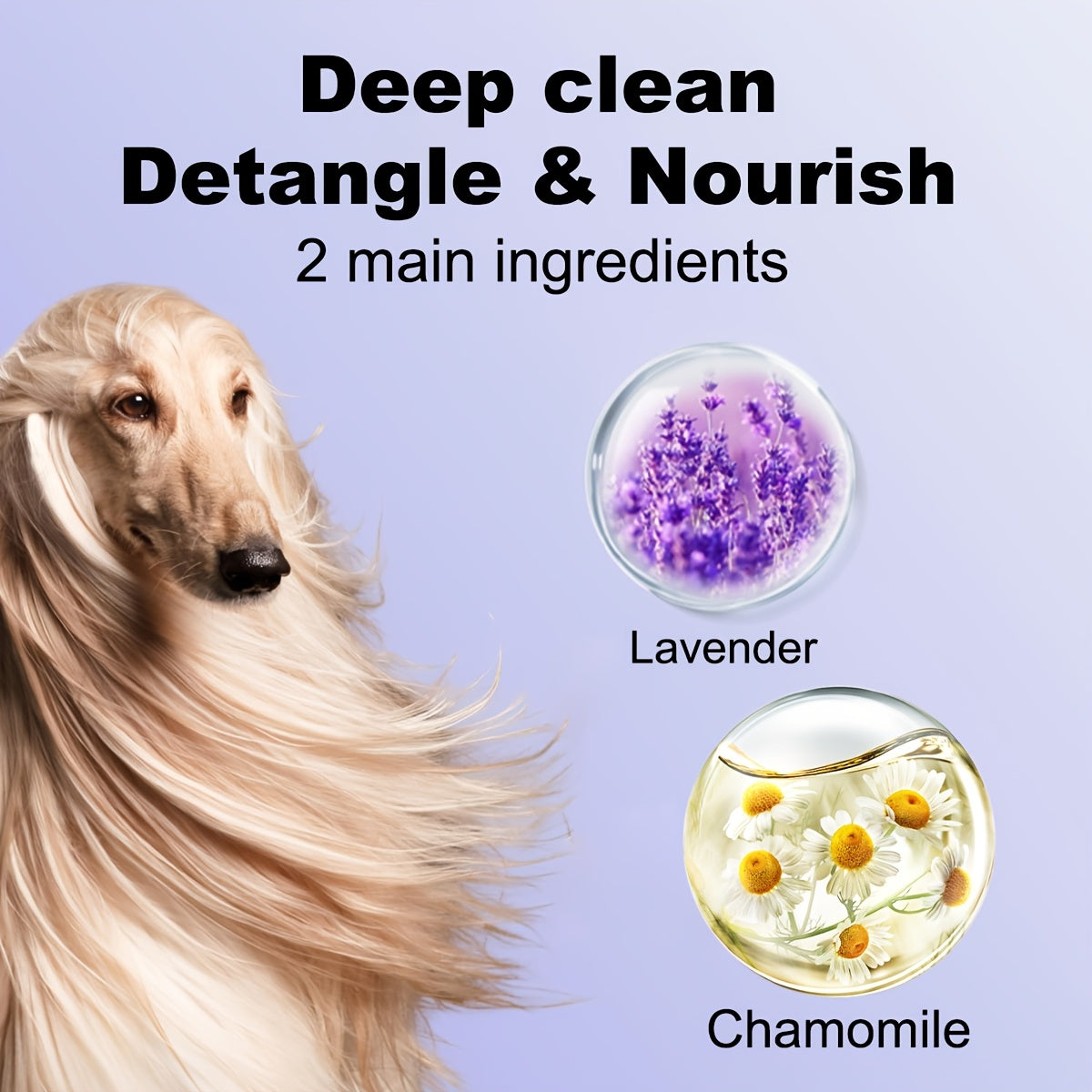 4-in-1 Dog Shampoo