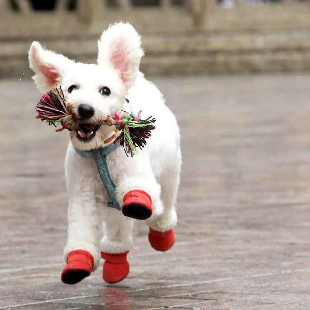 Cozy Plush Dog Boots