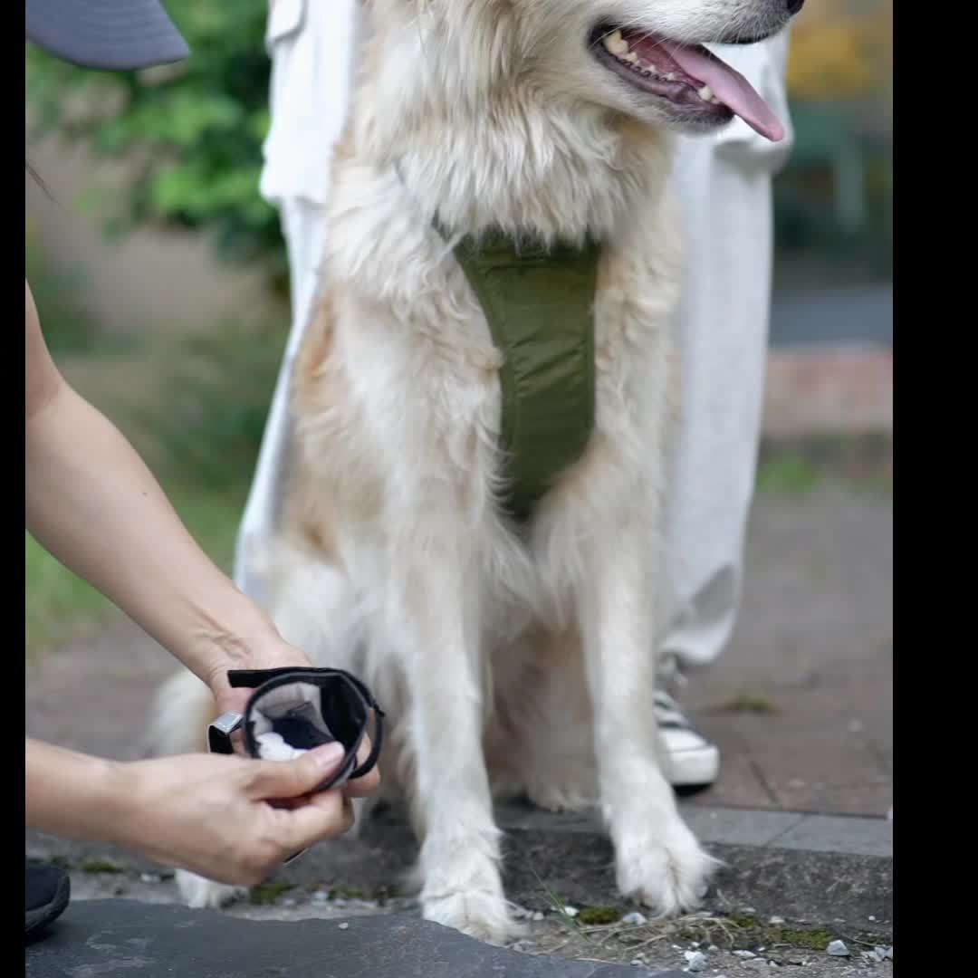 Breathable Anti-Slip Dog Boots