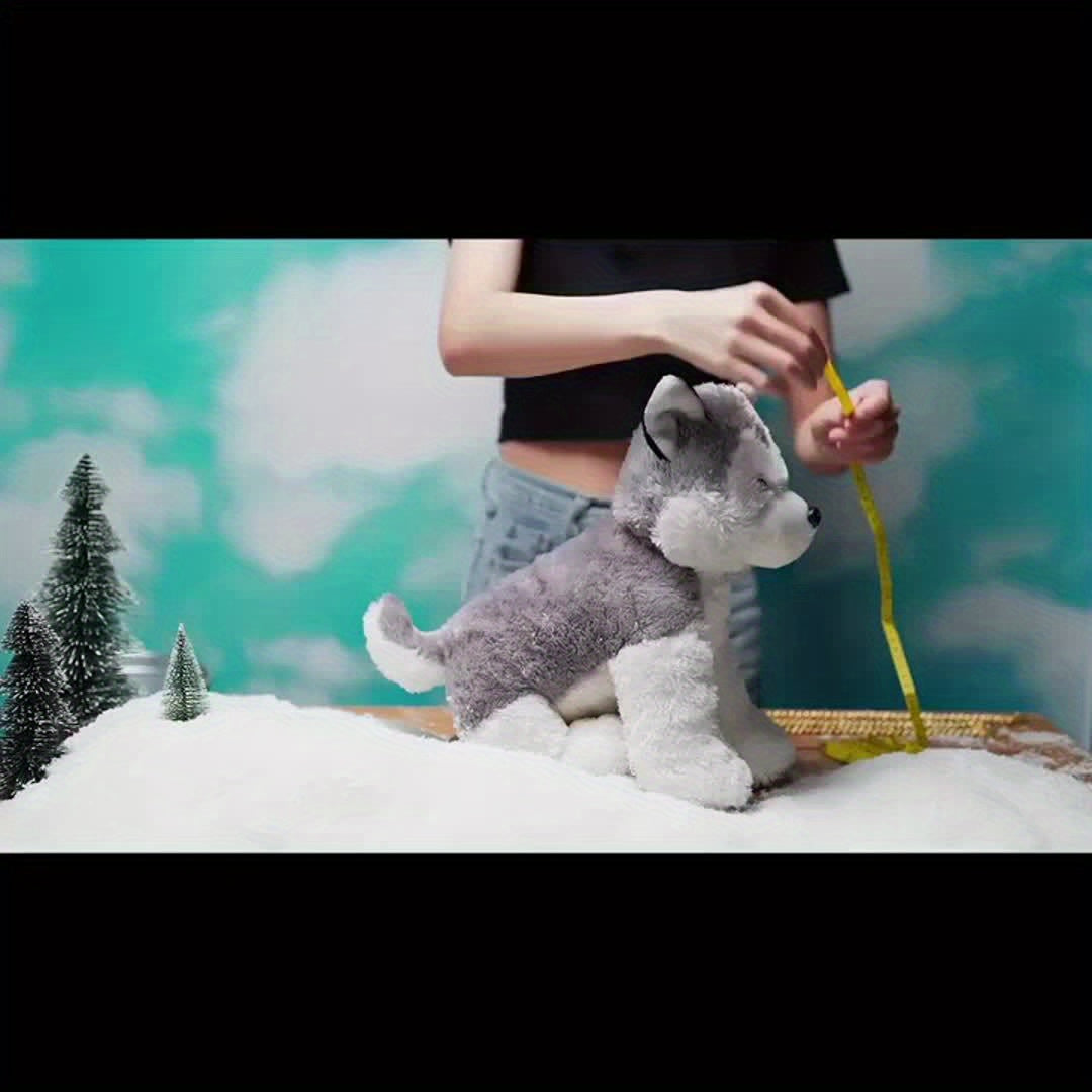 Cuban Chain Dog Collar