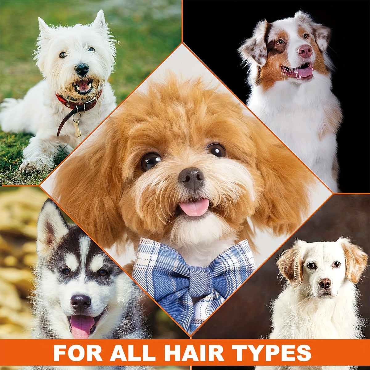 4-in-1 Dog Shampoo