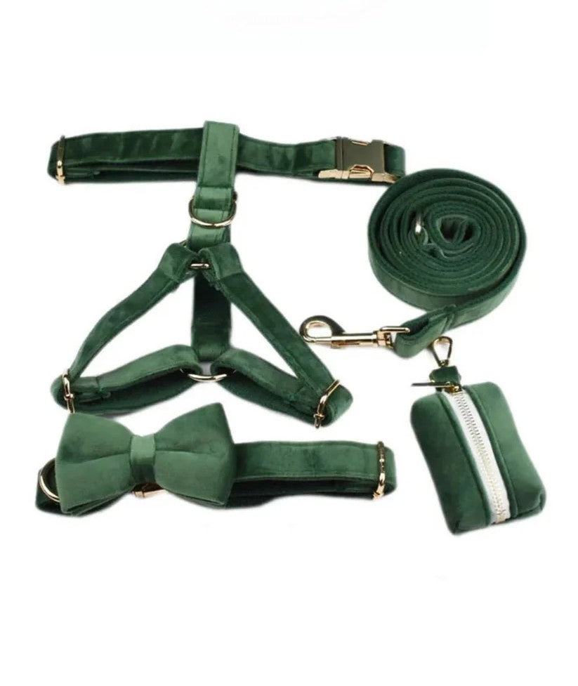 Elegance Walk Set – 5-piece