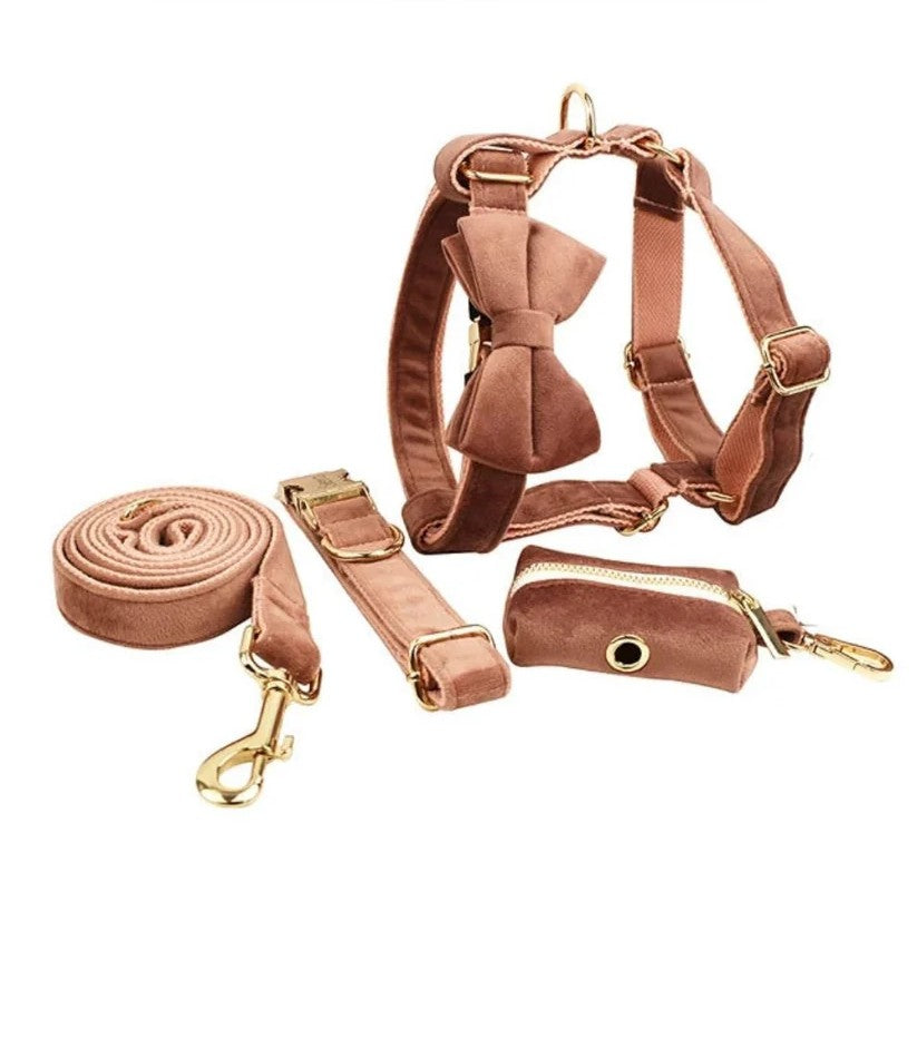 Elegance Walk Set – 5-piece