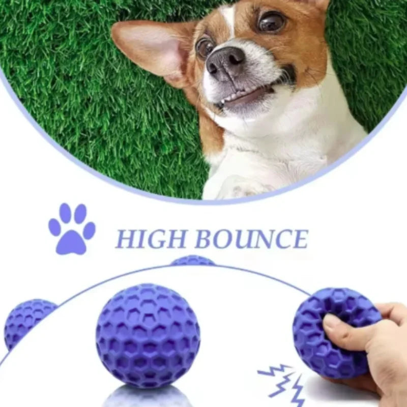 Indestructible Interactive Rubber Ball