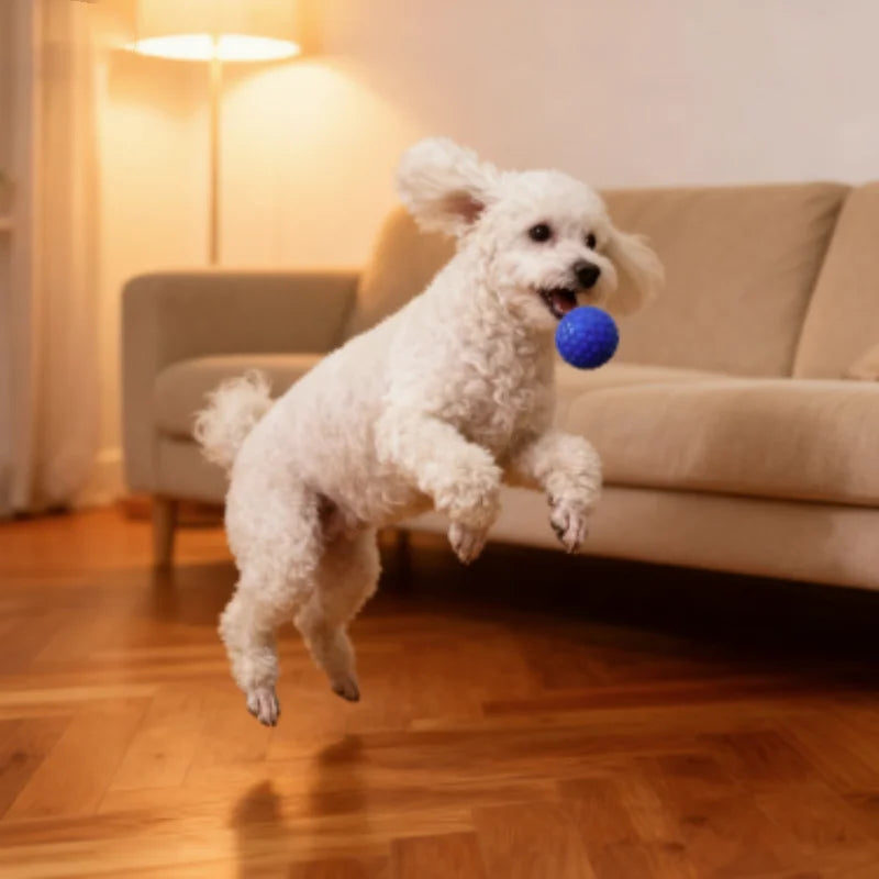Indestructible Interactive Rubber Ball