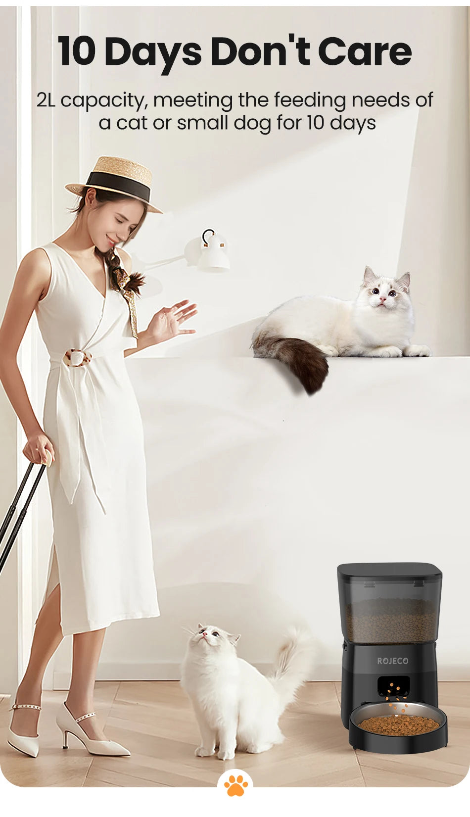 Automatic Pet Feeder Button Version Auto Cat Food Dispenser Accessories Smart Control Pet Feeder For Cats Dog Dry Food